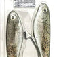 YUM Money Minnow Paddle Tail Swimbait 5"