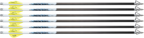 Excalibur Arrow Proflight - 18" 6pk (fits Matrix) 1