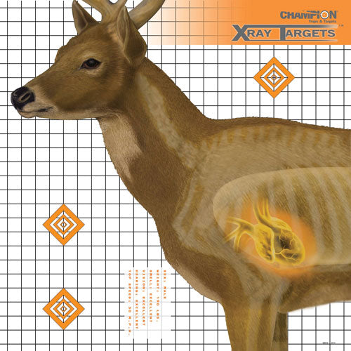 Champion X-ray Target Deer - 25"x25" 6-pack<