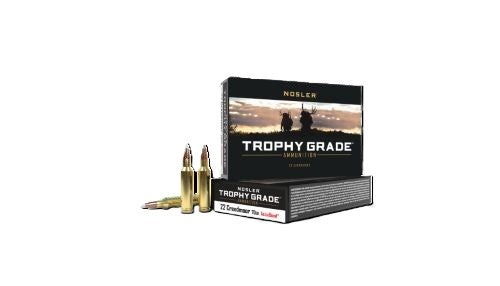 Nosler Trophy Grade 22cm - 70gr Accu Tip 20rd 10bx/cs