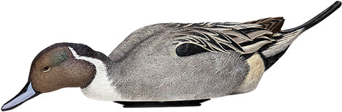 Avian X Power Shaker Pintail - Surface Feeder Decoy!