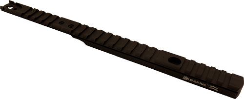 Xs Lever Rail Henry .44 -
