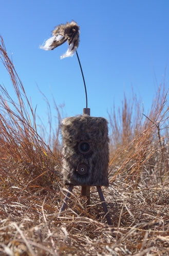Mojo Super Critter W-critter - Topper & Speaker