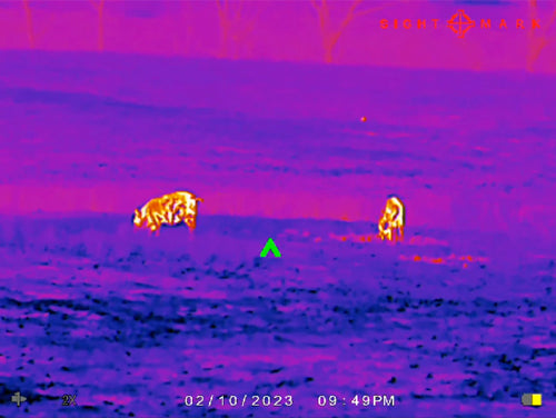 Sightmark Wraith Mini 2-16x35 - Thermal Rifle Scope 384x288