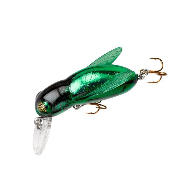 REBEL Bumble Bug 4