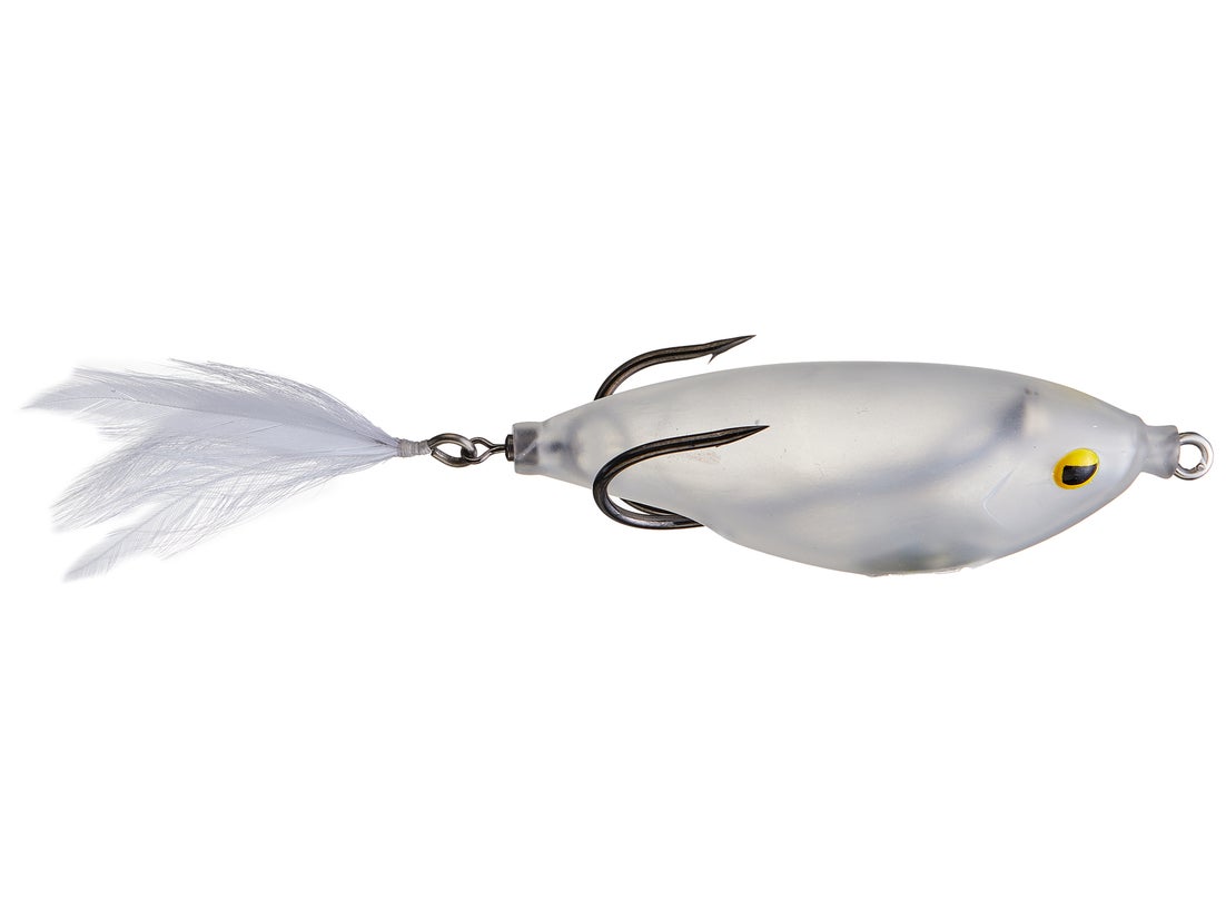 Teckel Sharker Frog 2