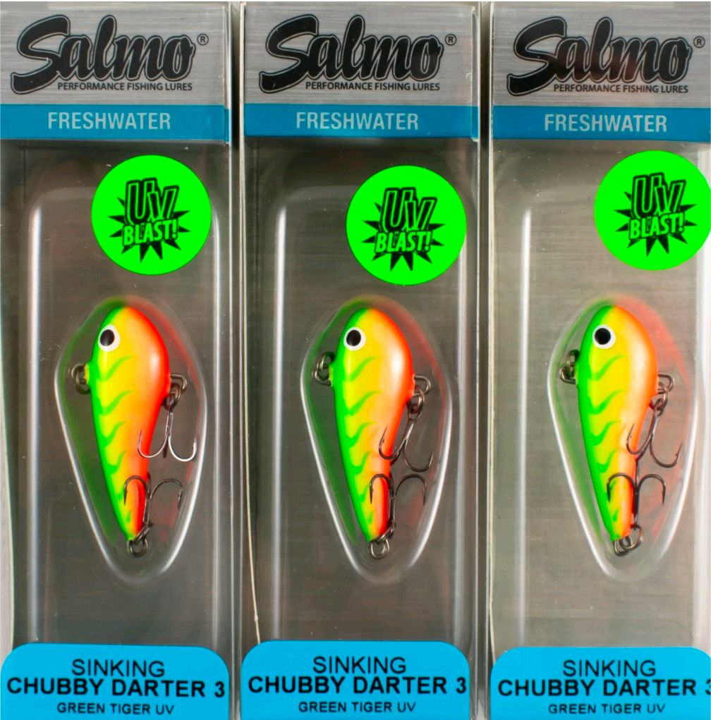Salmo Chubby Darter 10