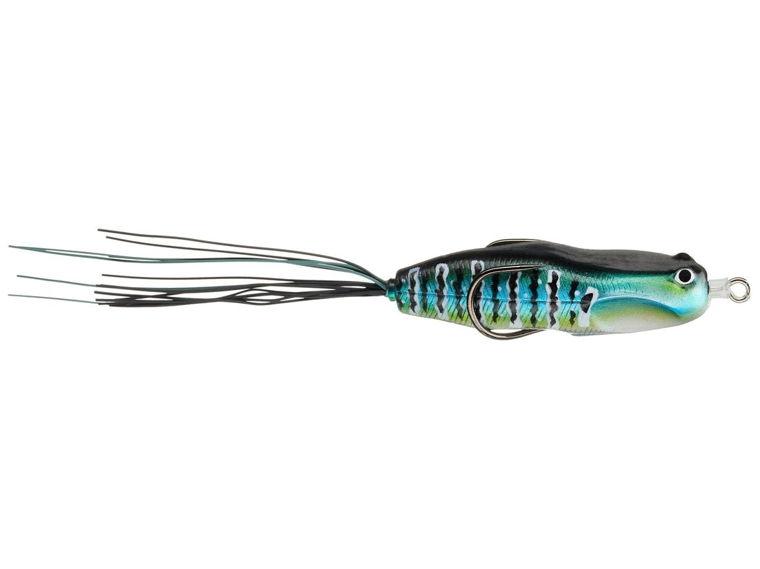 Nories Hoshokuon Frog 76 4