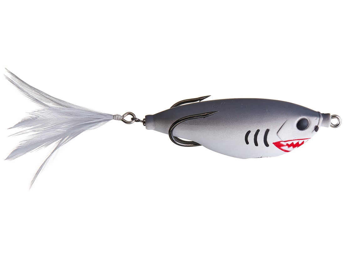 Teckel Sharker Frog 1