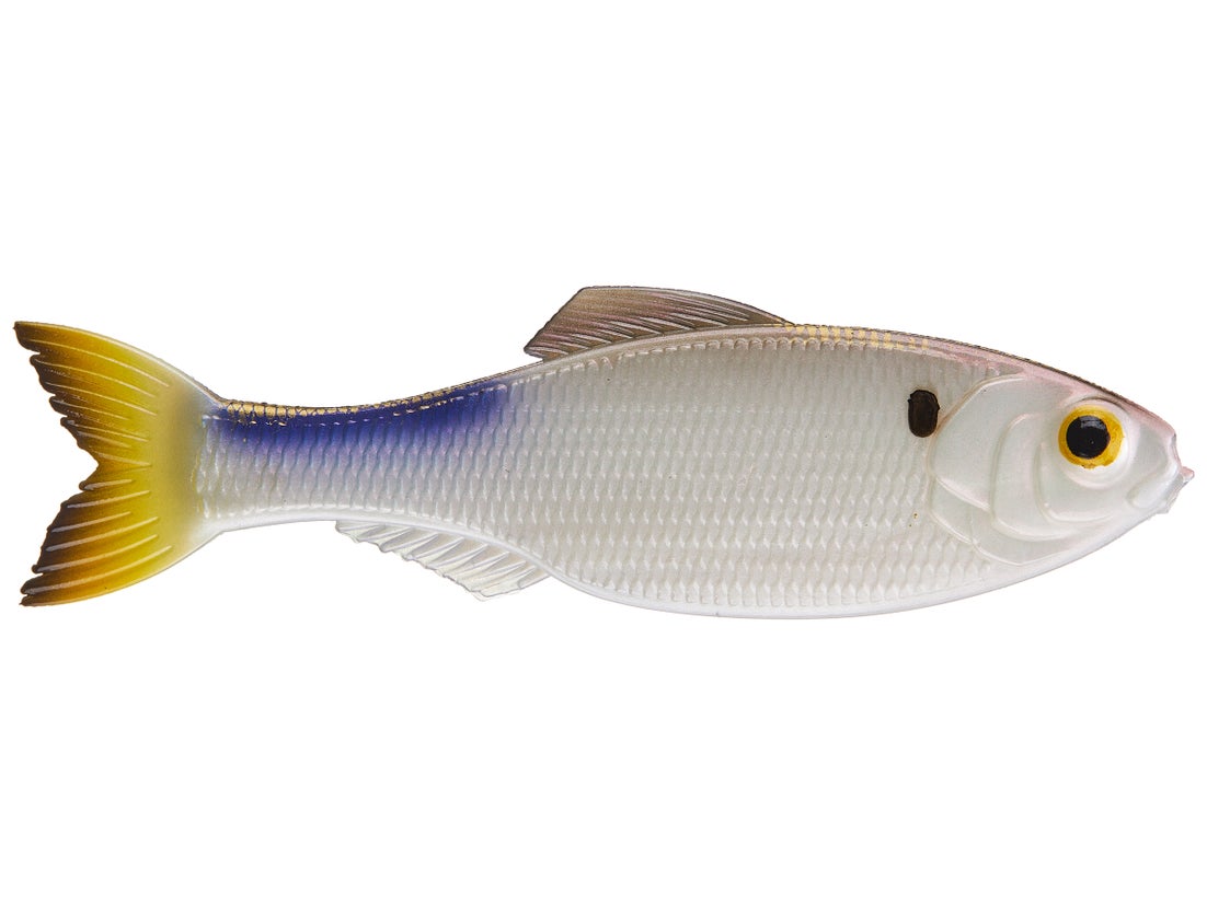 6th Sense Panorama Shad 3