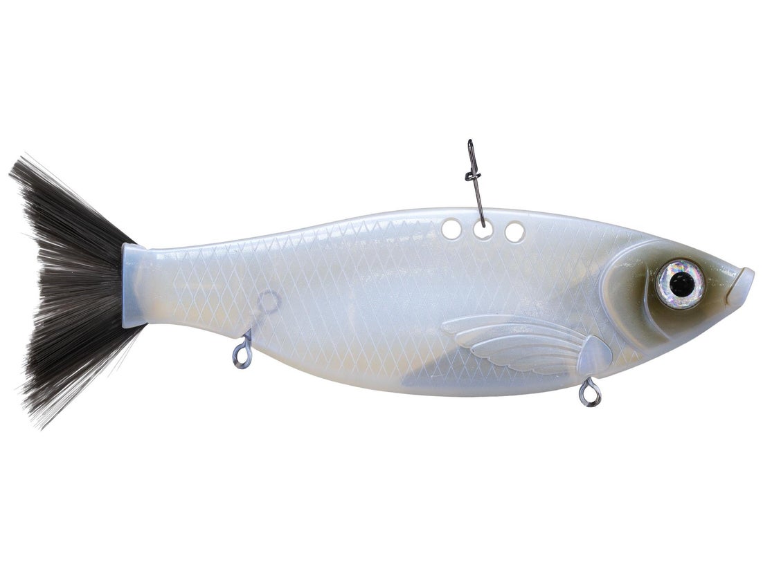 Bill Lewis Big Gizz 4