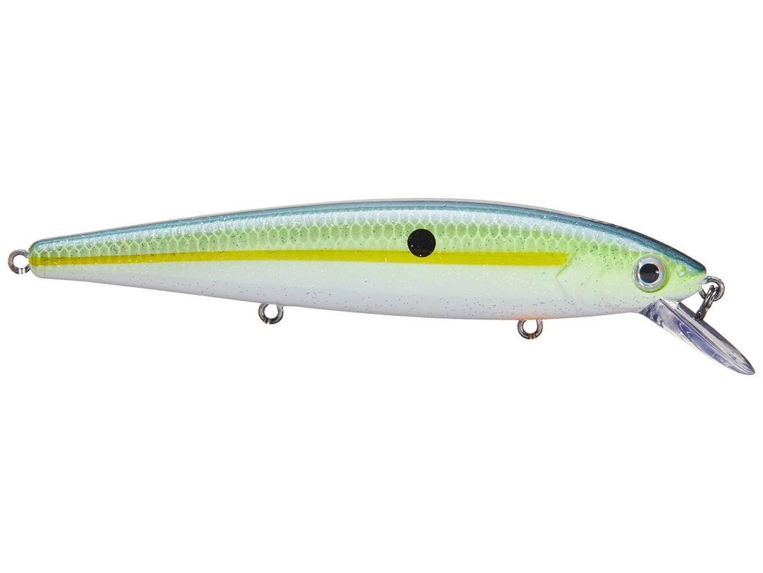 Strike King KVD Jerkbait 18