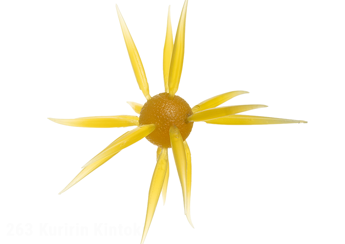 HIDEUP COIKE FISH L Elastomer NEW! 4