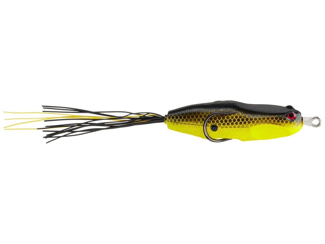 Nories Hoshokuon Frog 76 8