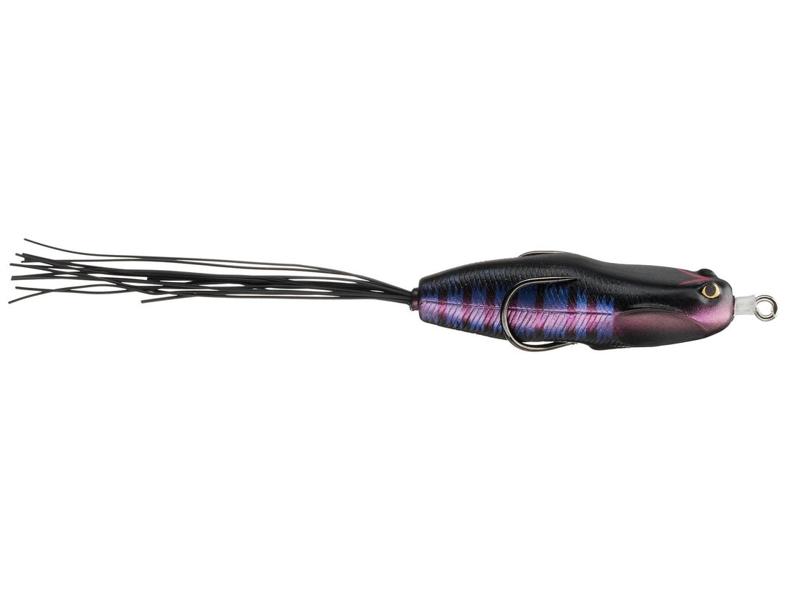 Nories Hoshokuon Frog 76 5