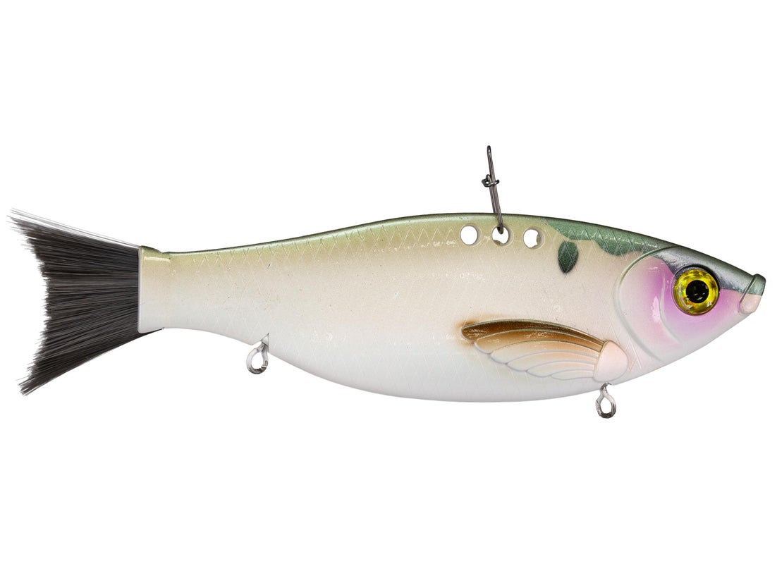 Bill Lewis Big Gizz 3