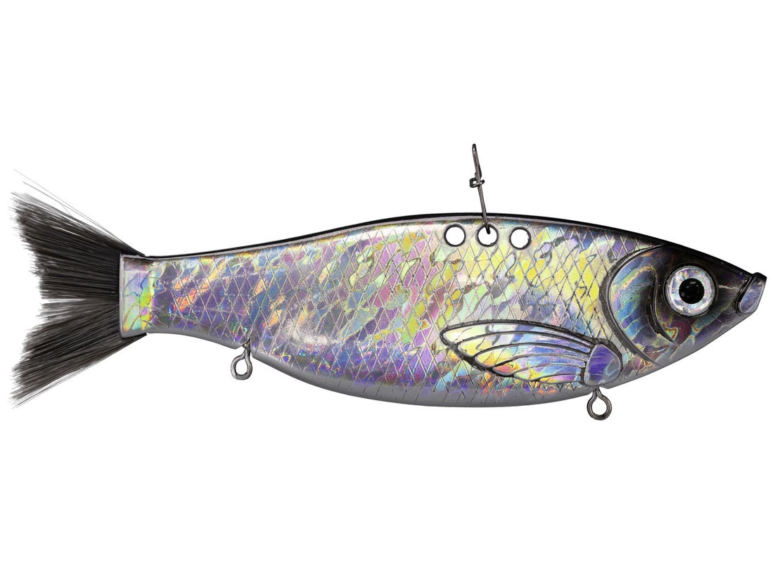 Bill Lewis Big Gizz 1