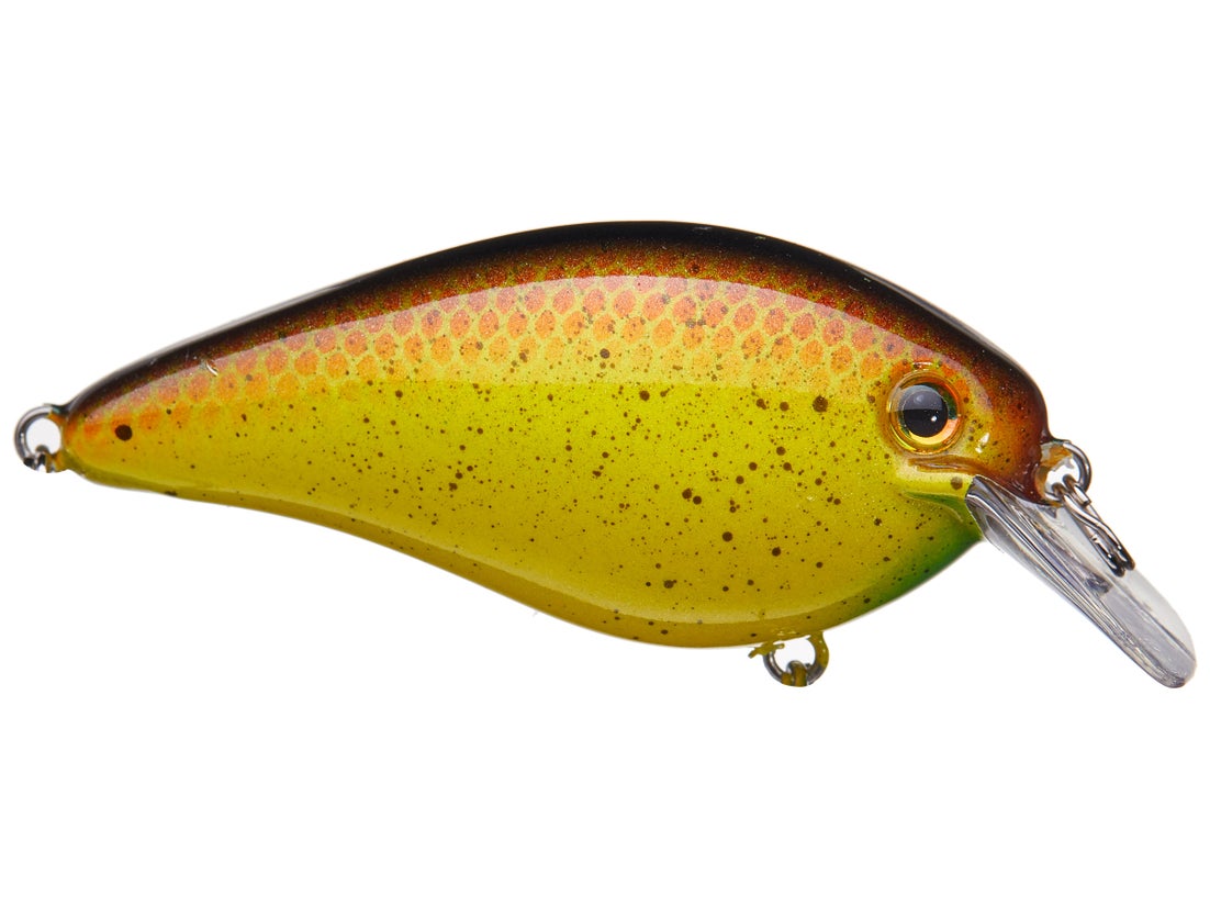 Strike King KVD 1.5 Square Bill Silent Crankbait 21