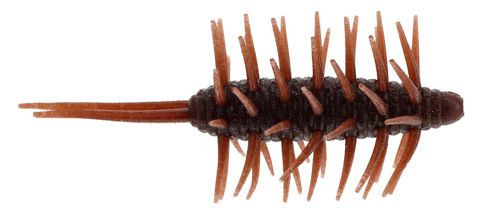 Hideup Coike Shrimp Extra Large Creature Bait -3pk 1