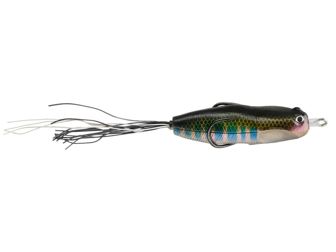 Nories Hoshokuon Frog 76 3