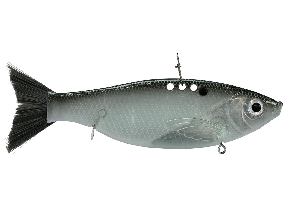 Bill Lewis Big Gizz 7