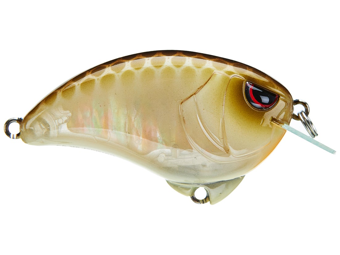 SPRO Outsider Crank SR 55 Crankbait 6