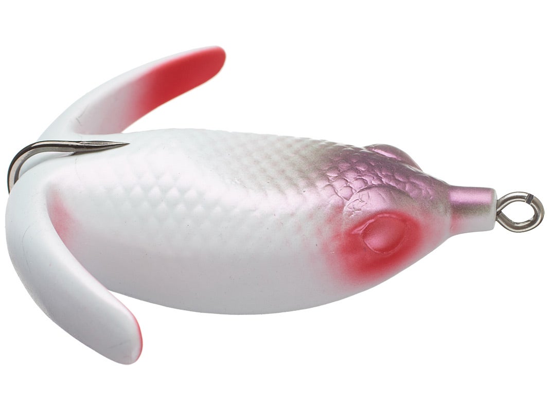 Deps Basirisky Soft Belly Frog 3