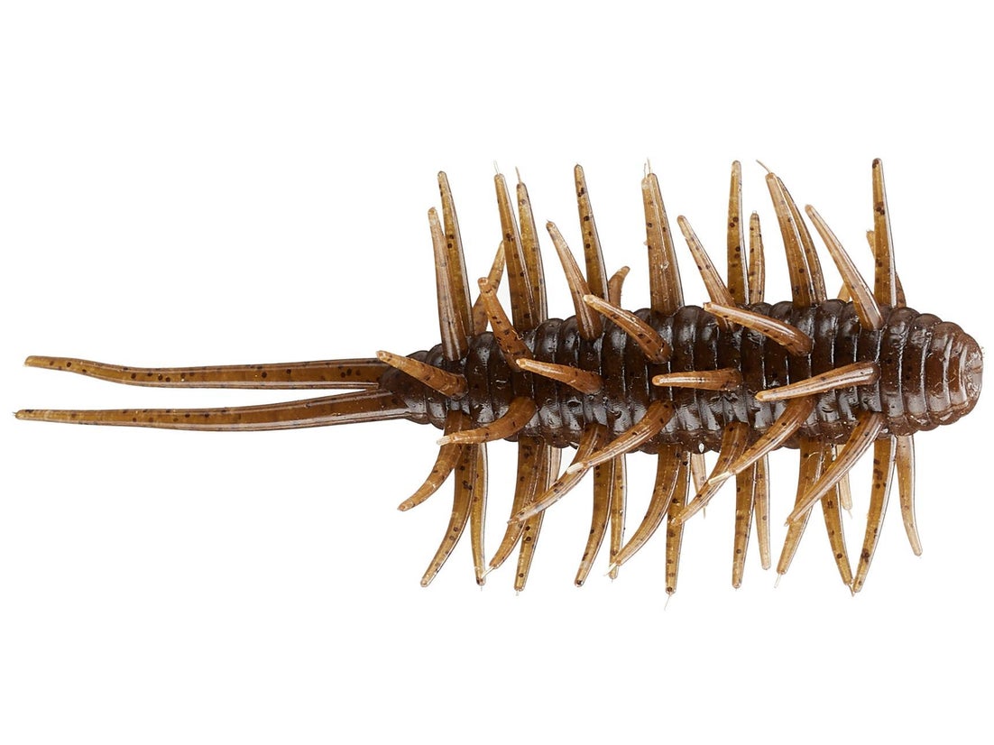Hideup Coike Shrimp Medium Creature Bait 3