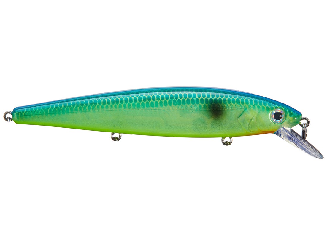 Strike King KVD Jerkbait 19