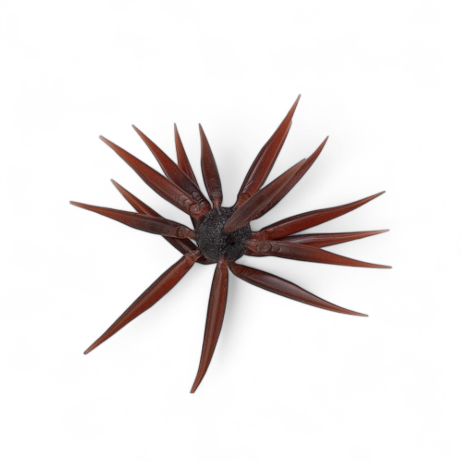 Hideup Coike Fish Elastomer (M) -[COMING SOON!] 6