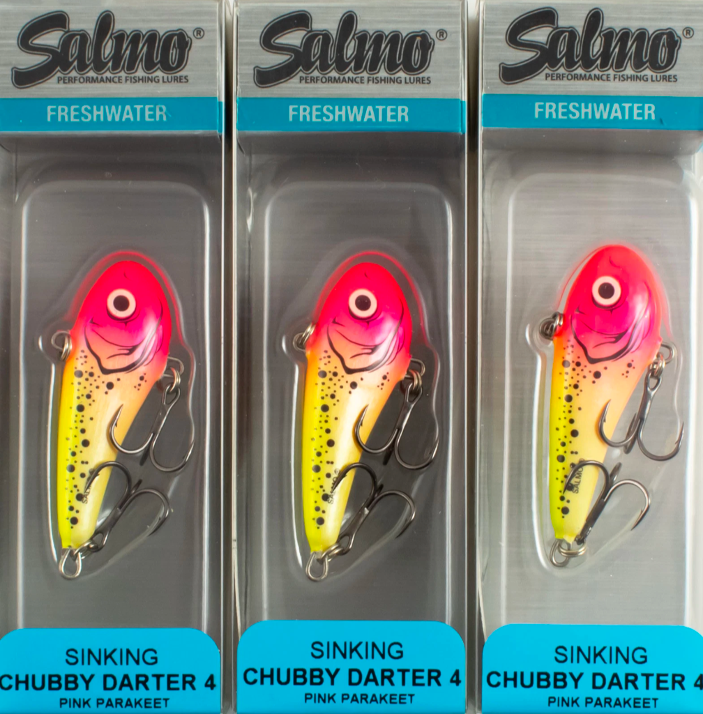Salmo Chubby Darter 6