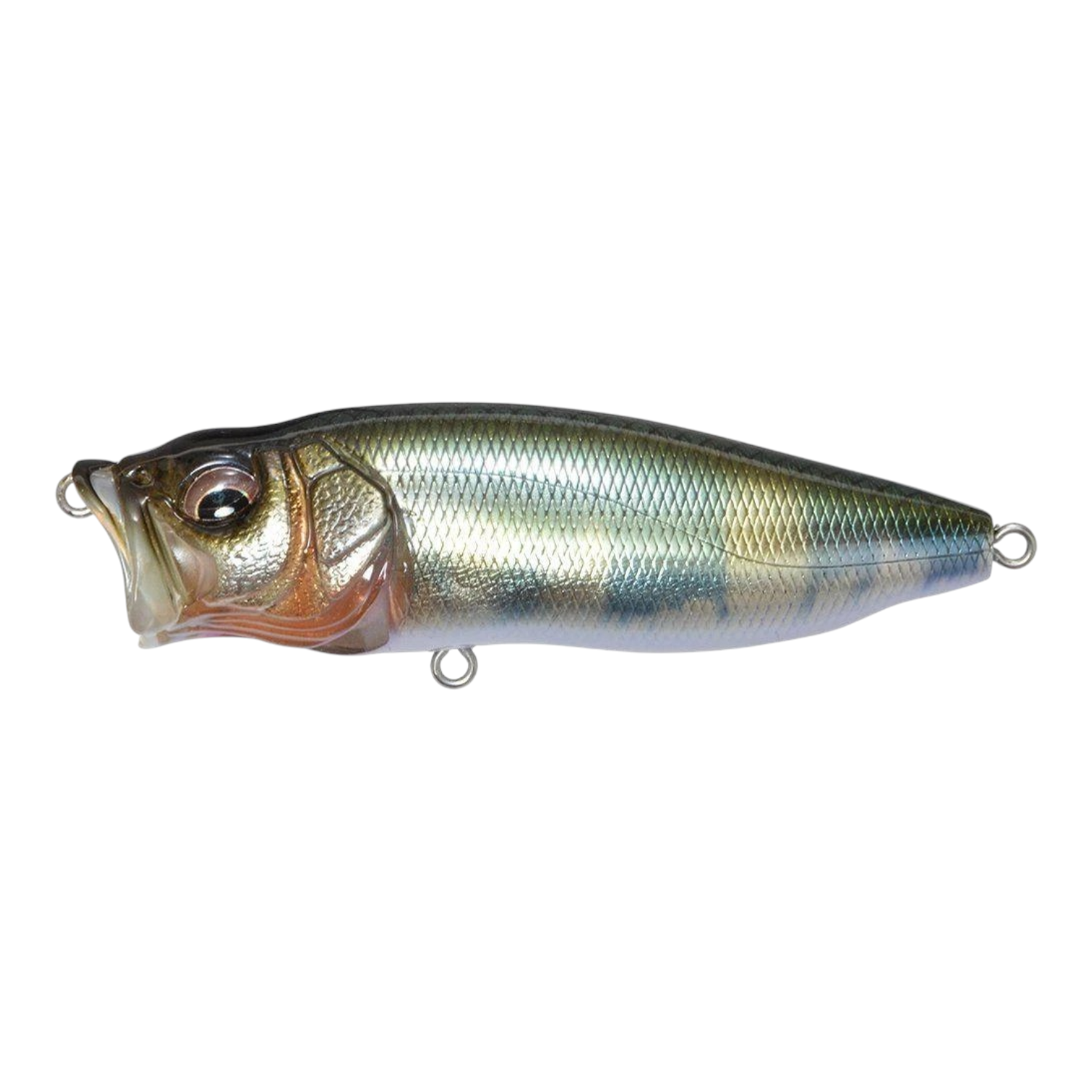 Megabass Pop Max 13