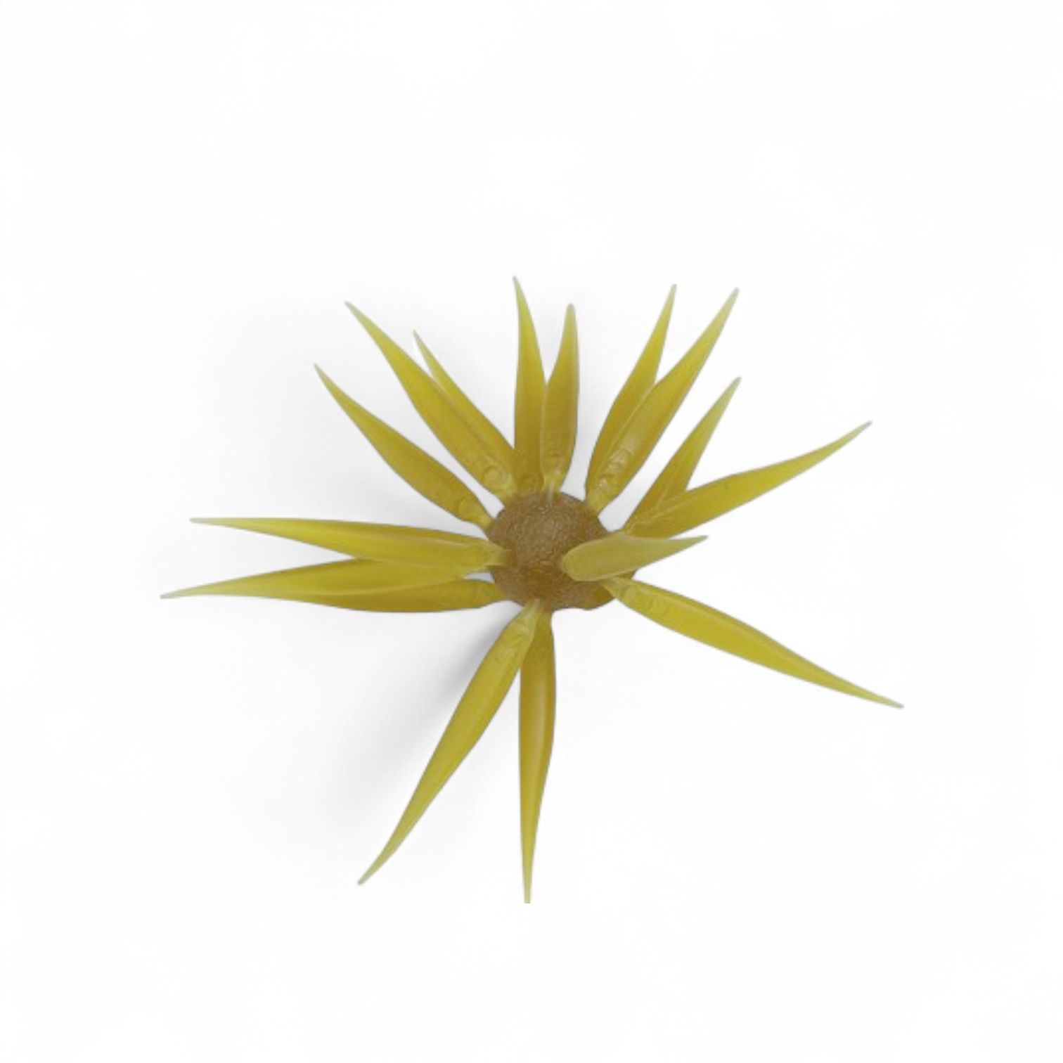 Hideup Coike Fish Elastomer (M) -[COMING SOON!] 9