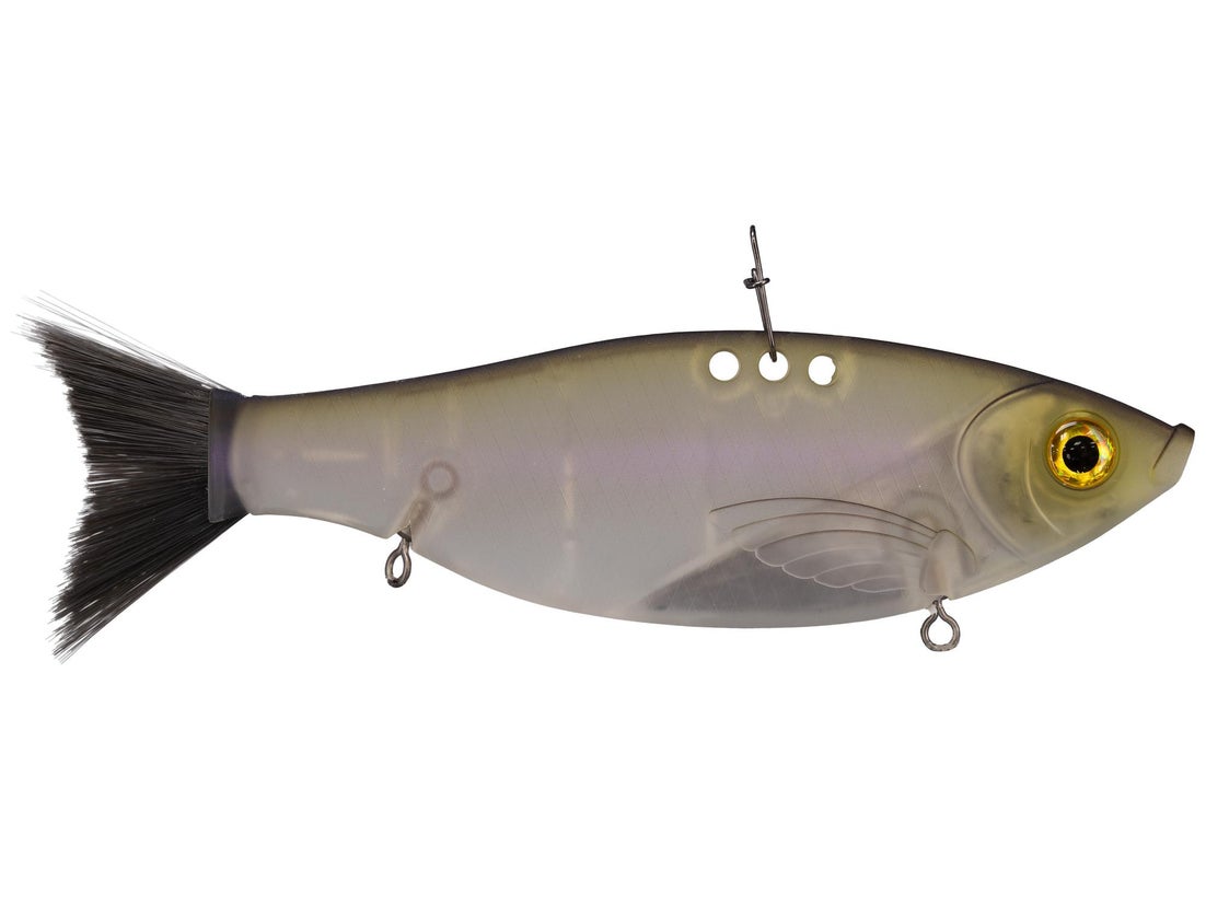 Bill Lewis Big Gizz 6