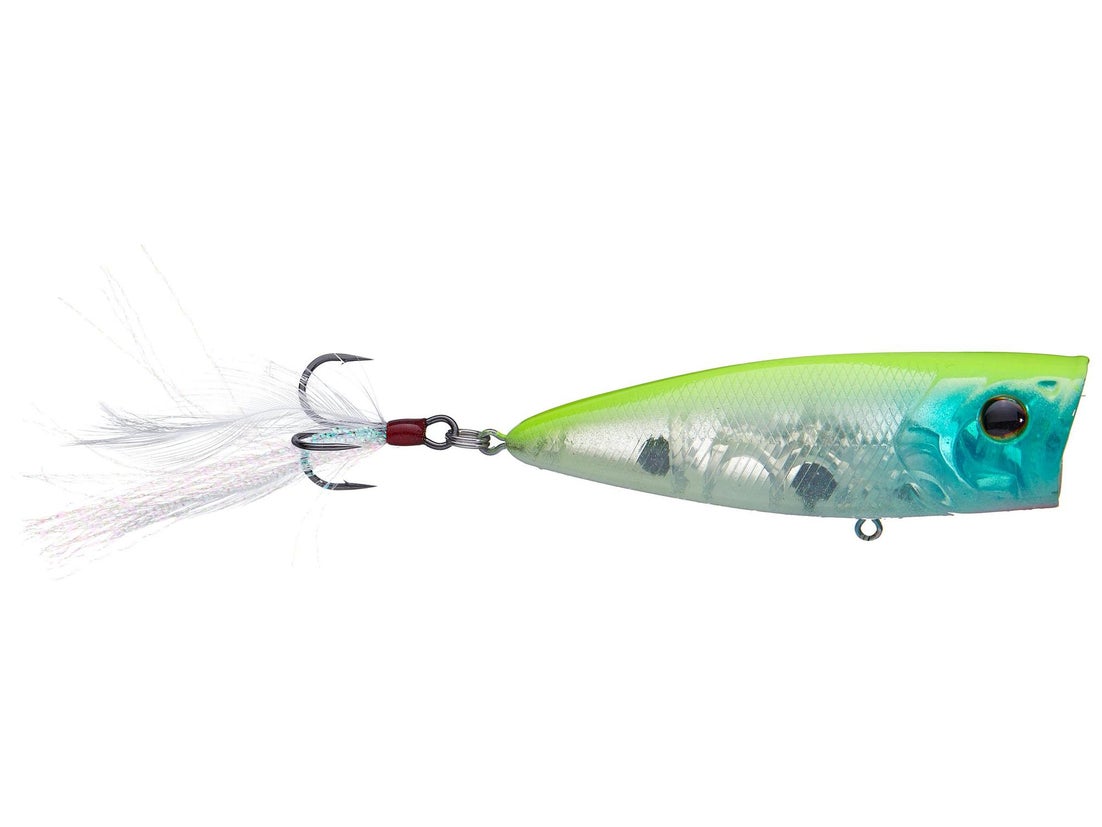 Berkley Bullet Pop Topwater 6