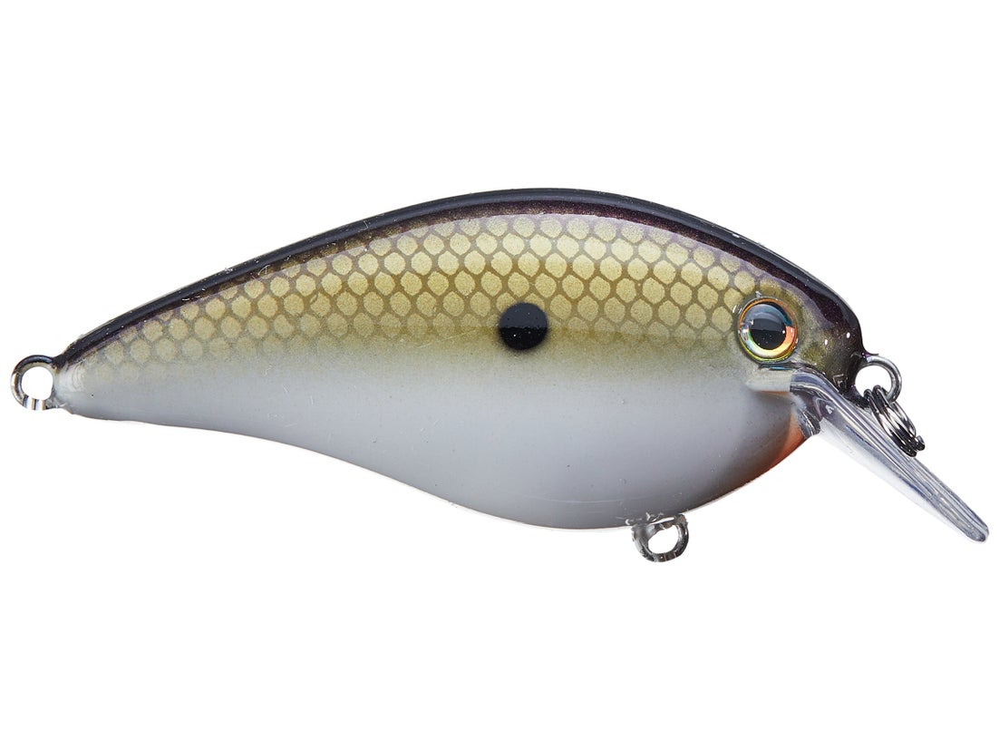 Strike King KVD Magnum Squarebill Crankbait 18