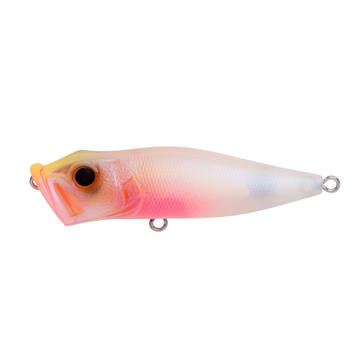 Megabass Pop X 31