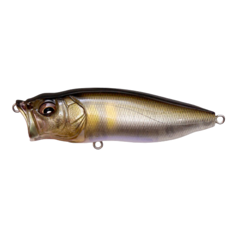 Megabass Pop Max 31