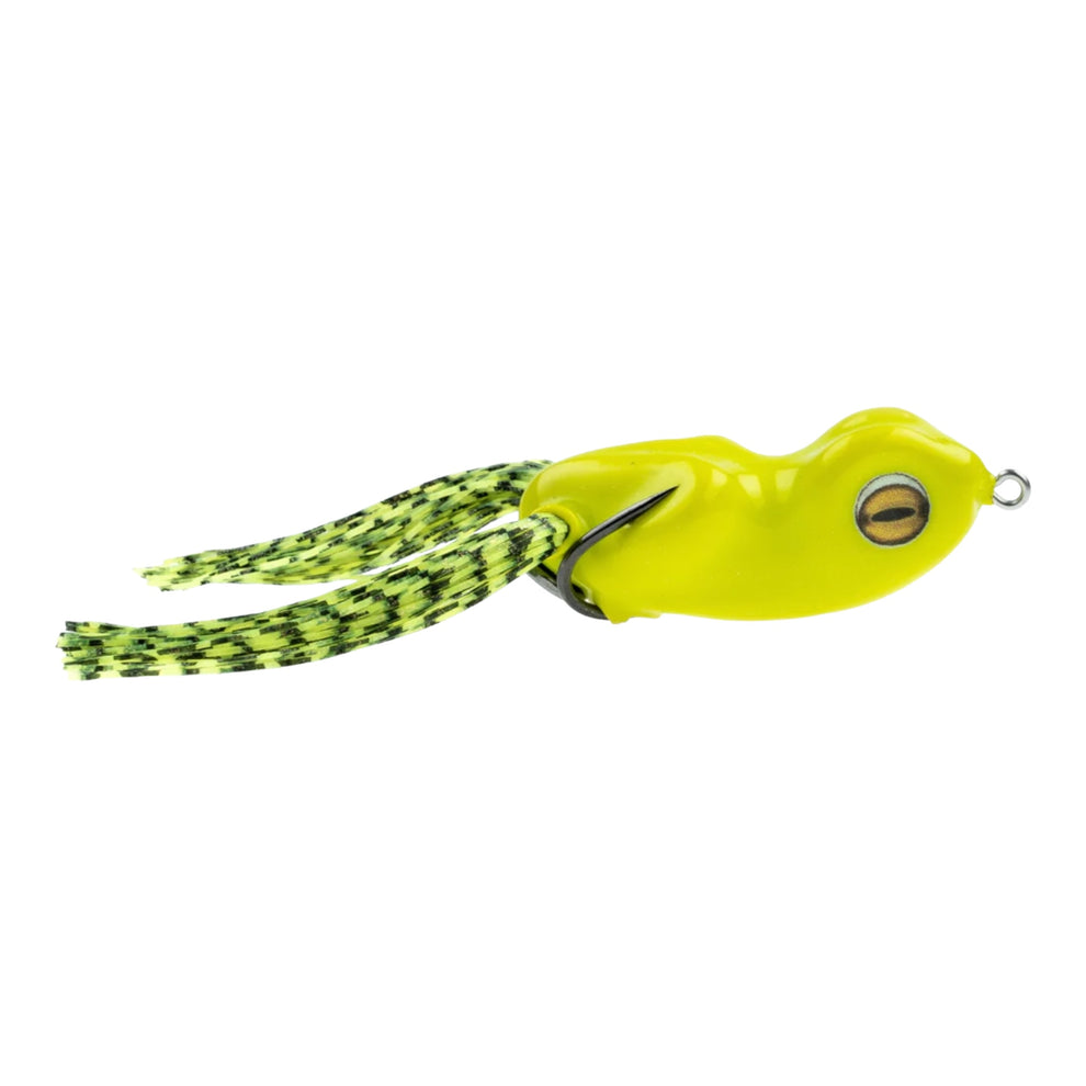 Scum Frog Small Dog