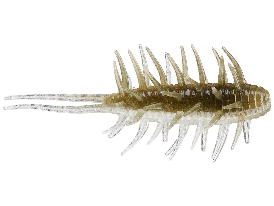 Hideup Coike Shrimp Medium Creature Bait 5