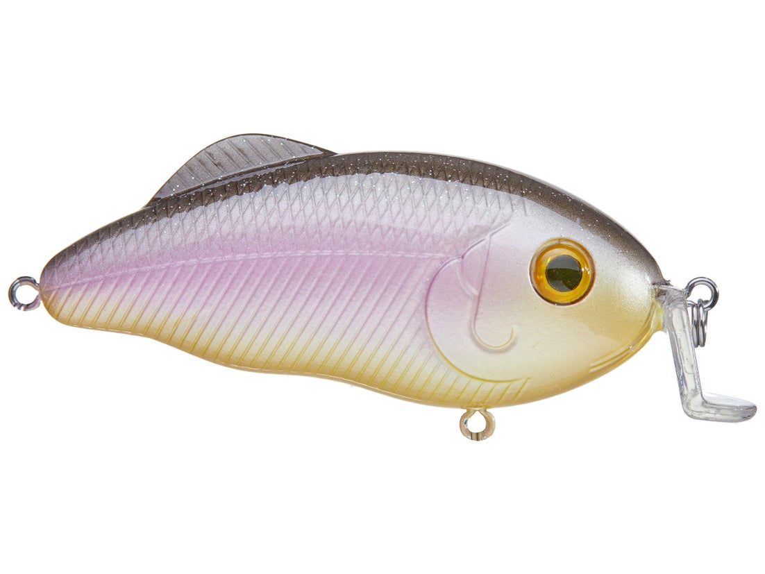 Strike King Hybrid Hunter Crankbait 10