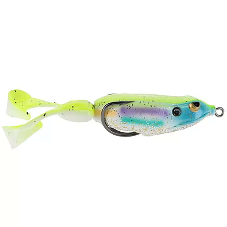 Gambler Swimming Frog 1