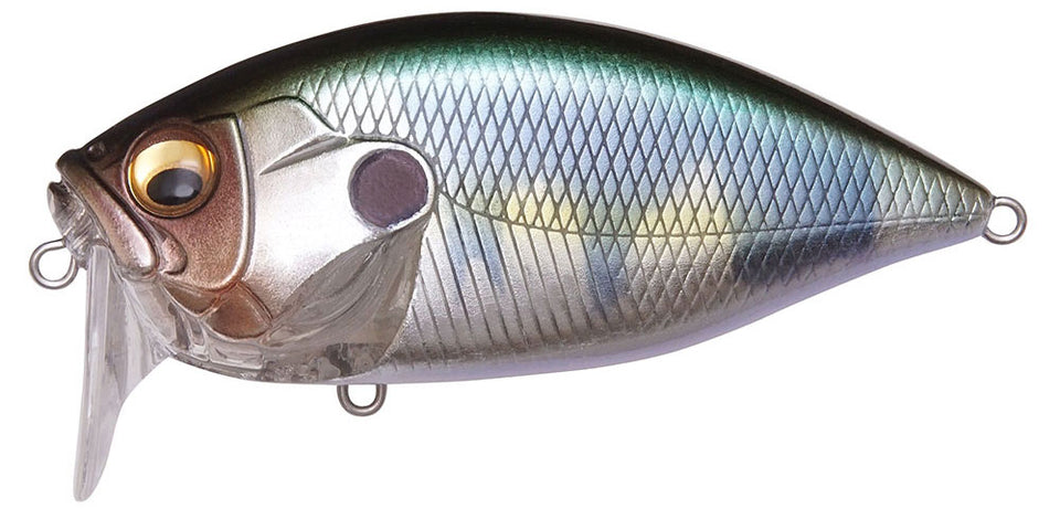 Megabass ORC Burning Shad 9