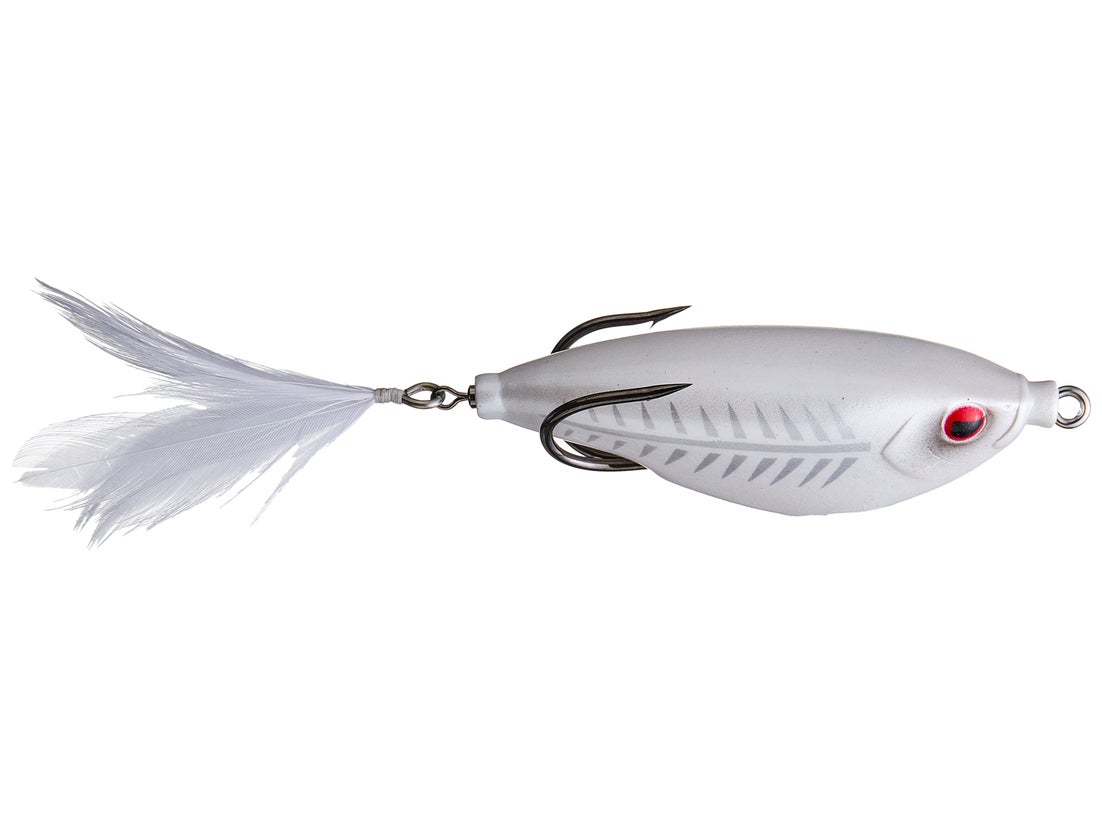 Teckel Sharker Frog 3