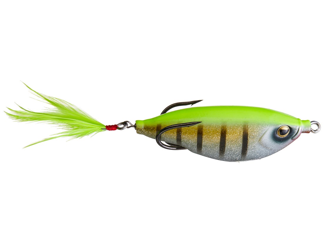 Teckel Sharker Frog 7