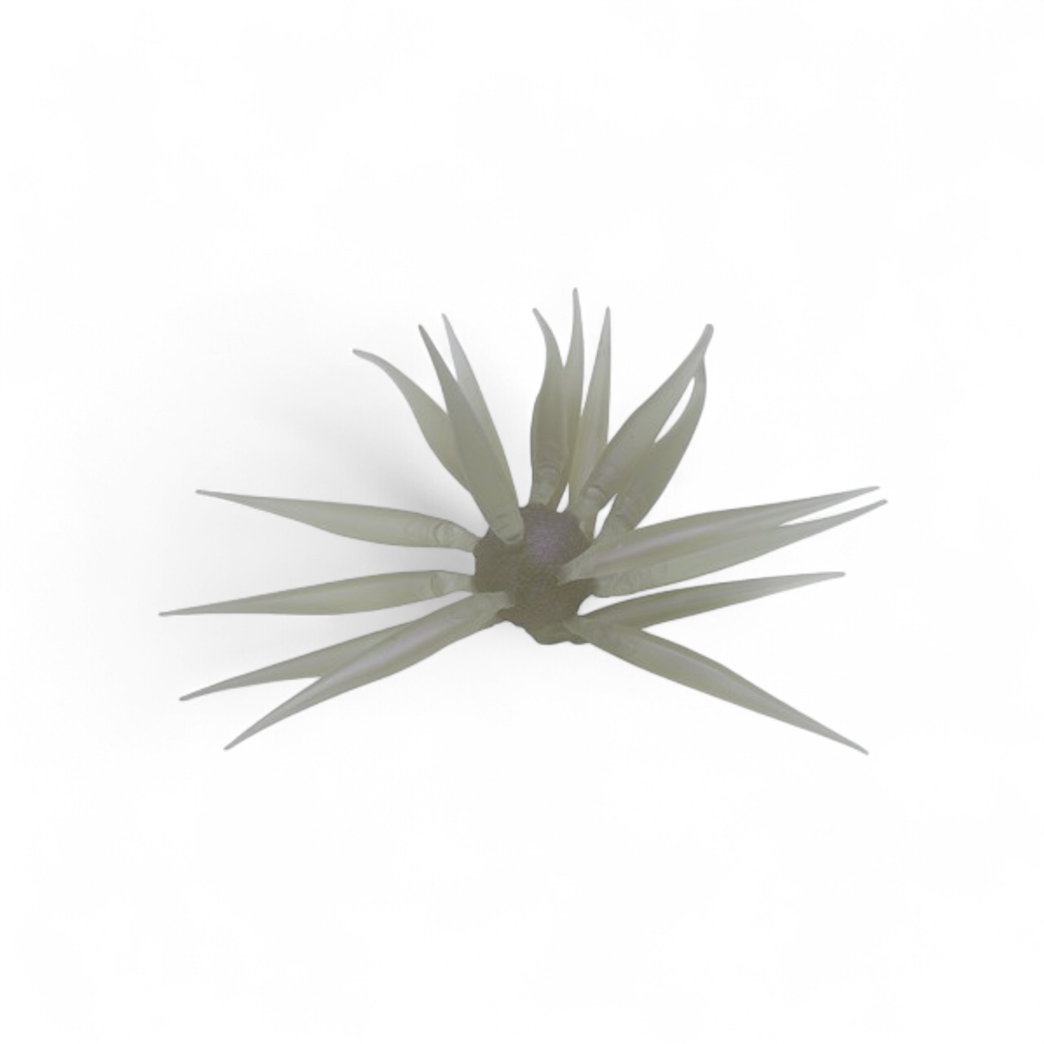 Hideup Coike Fish Elastomer (M) -[COMING SOON!] 2