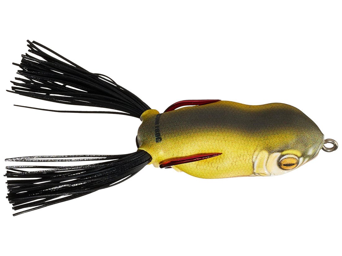 Scum Frog Launch Frog XS 5