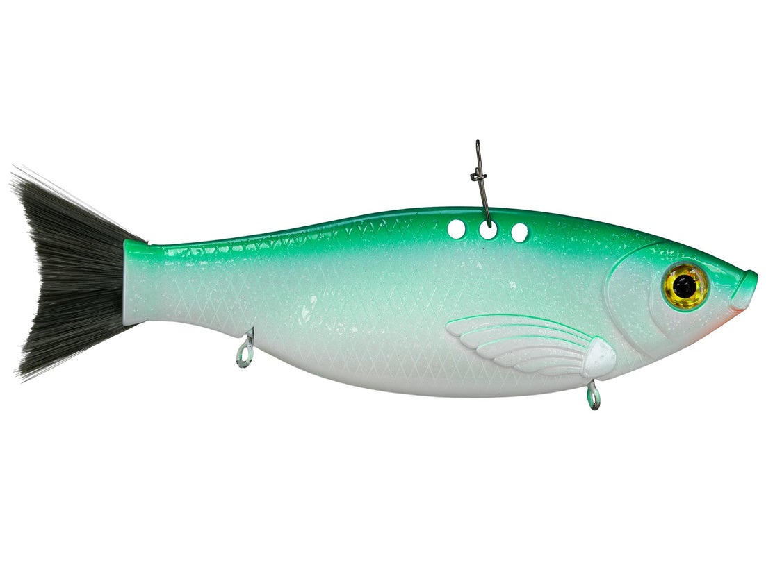 Bill Lewis Big Gizz 2