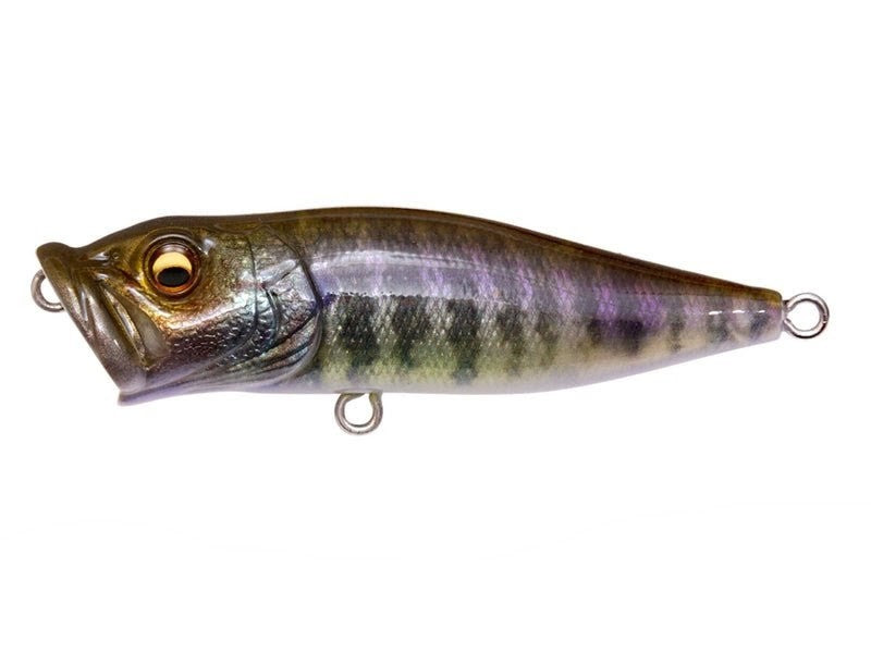 Megabass Pop X 19