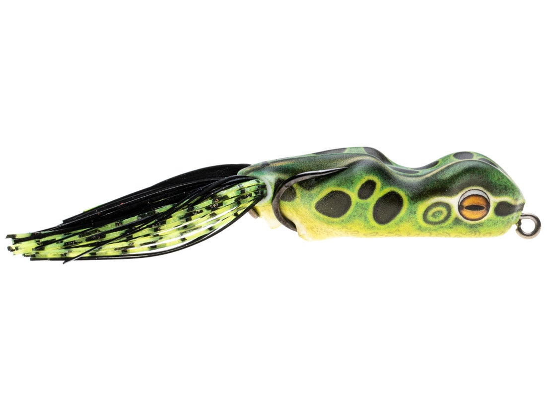 Scum Frog Trophy Series Frog 11